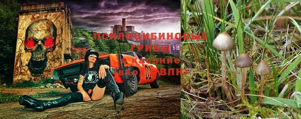 дмт Арсеньев