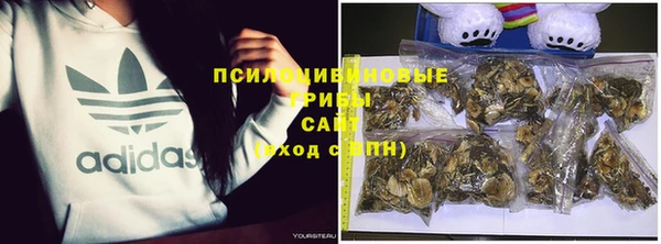 прущая мука Аркадак